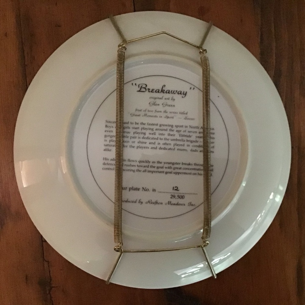 “Breakaway” Collector Plate by Glen Green - Picture 2 of 2